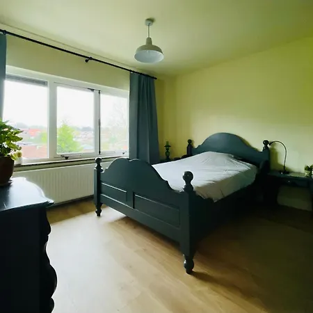 Luxurious Renovated Home, Retro Touch! Villa *